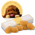 Dog Macarons - Box of 6