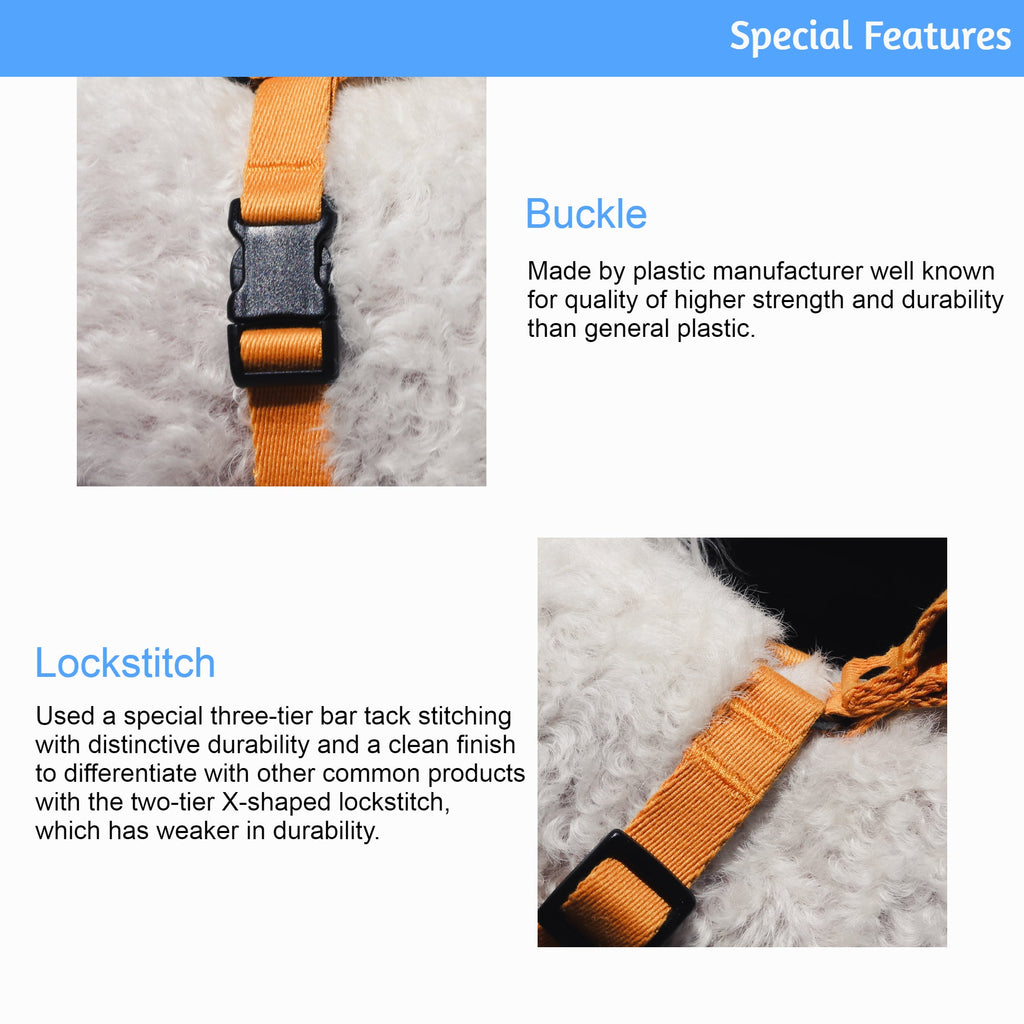 Lof Collar for Dogs – Premium 40-Stitch Webbing, All-Day Comfort & Durability