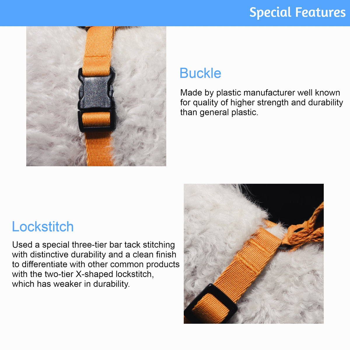 Lof Collar for Dogs – Premium 40-Stitch Webbing, All-Day Comfort & Durability