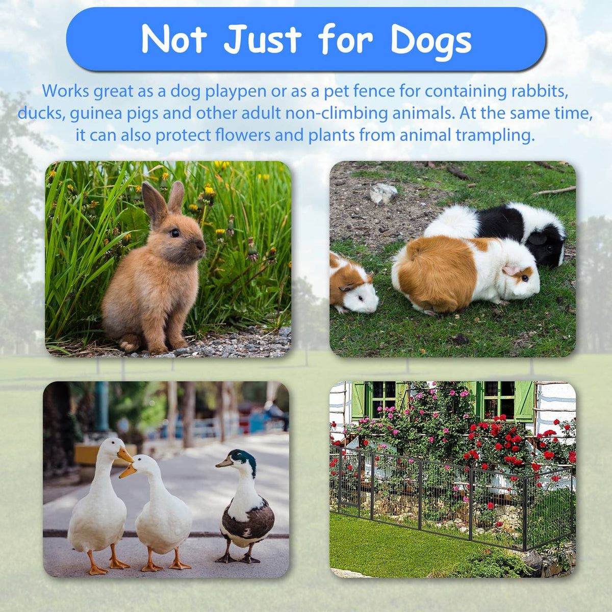 Dog Pens Outdoor Dog Fence Dog Playpen For Large Dogs Dog Kennel Pet