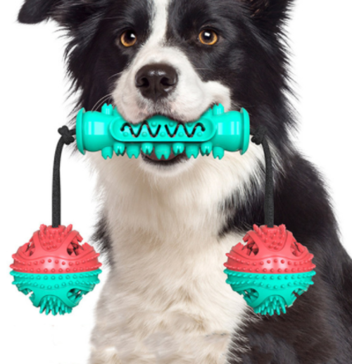 Rubber Toothbrush Chew Bone for Dogs
