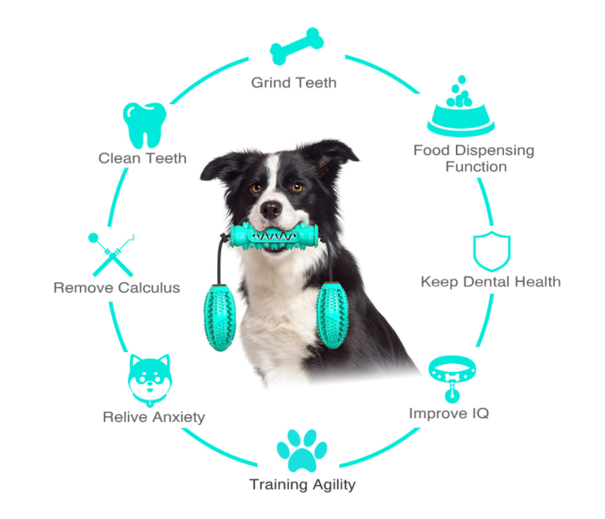 Dog Chew Toys Pet Toothbrush Rubber Bones