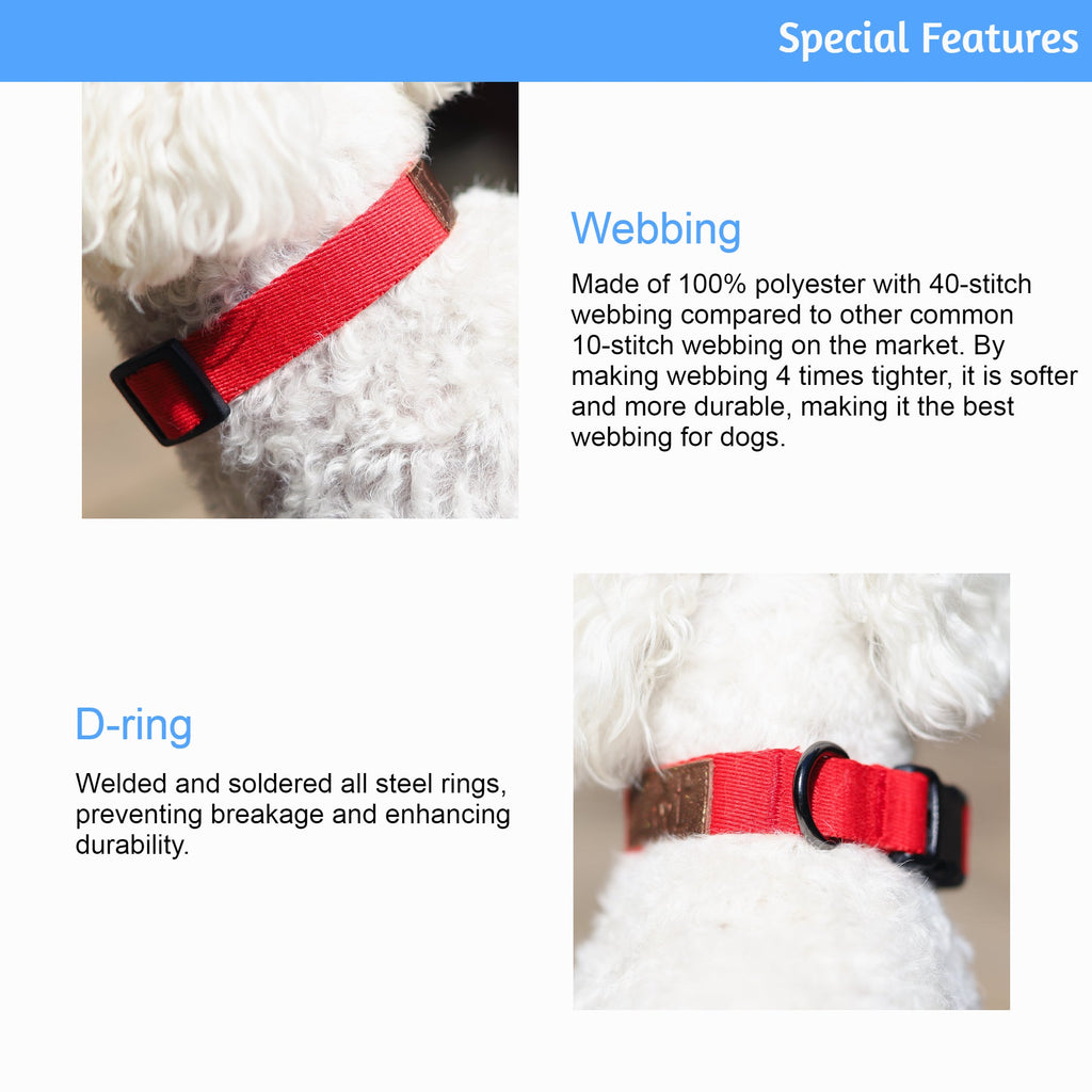 Lof Collar for Dogs – Premium 40-Stitch Webbing, All-Day Comfort & Durability