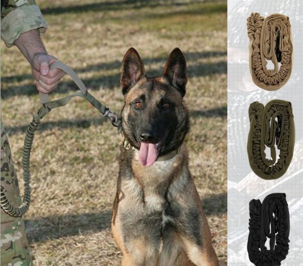 Premium Reflective Dog Leash – Adjustable 97–150 cm