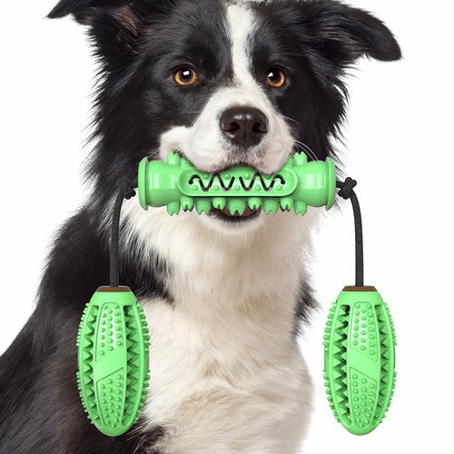 Rubber Toothbrush Chew Bone for Dogs