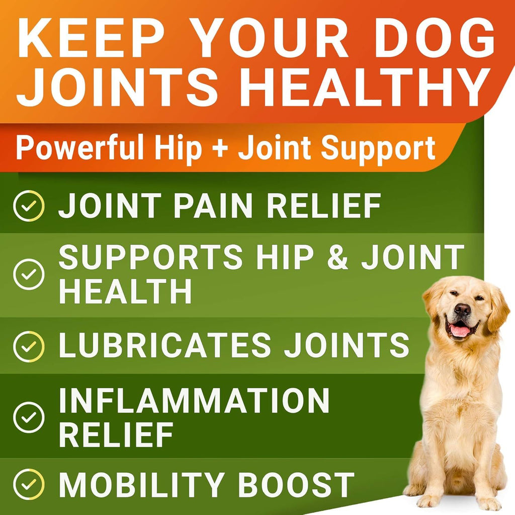 Youmile Hip & Joint Health Supplement for Dogs        Youmile Hip & Joint Health Supplement for Dogs     Glucosamine Chondroitin MSM Dog Chews With Hyaluronic Acid, Liver Flavored Bone & Joint