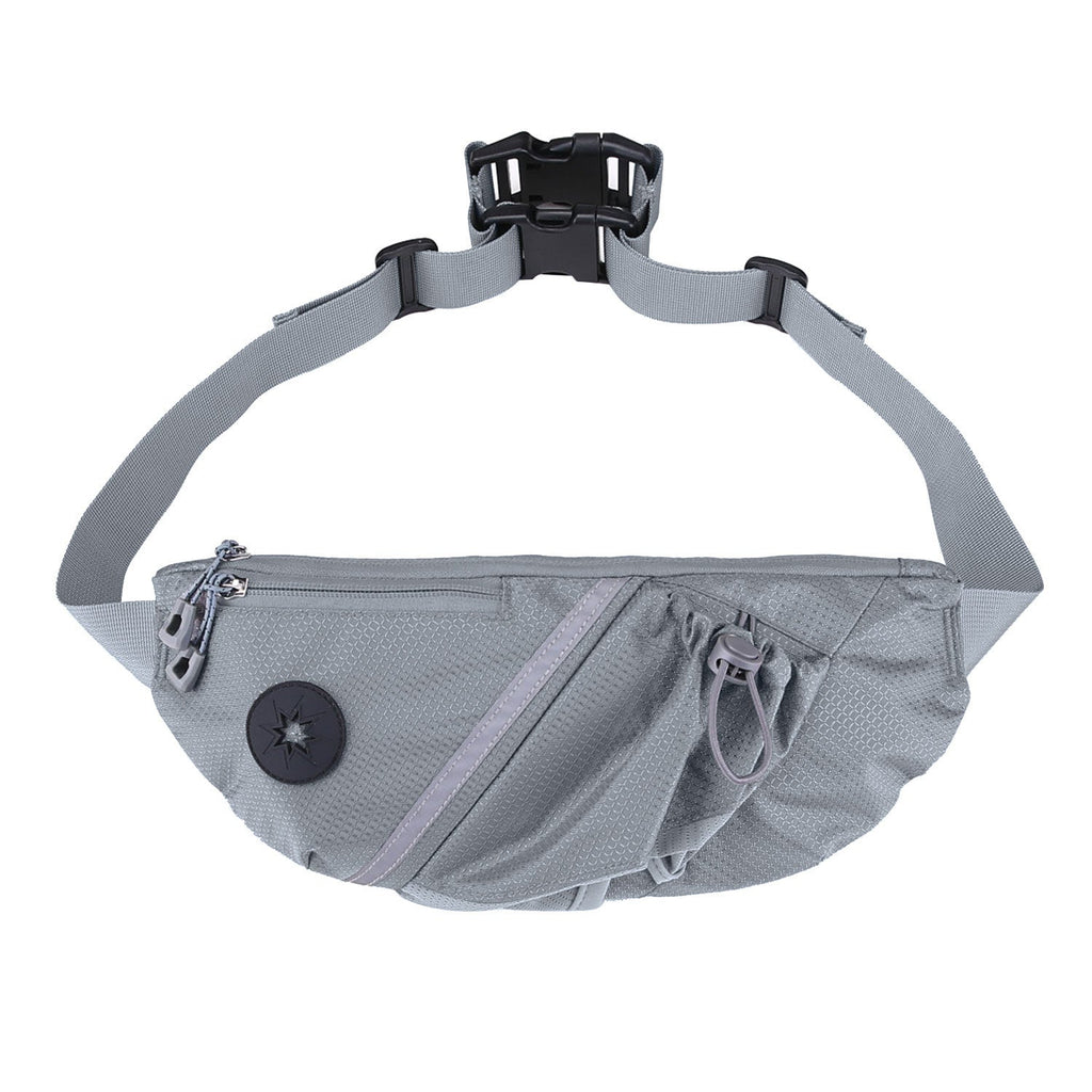 Portable Pet Dog Training Waist Bag