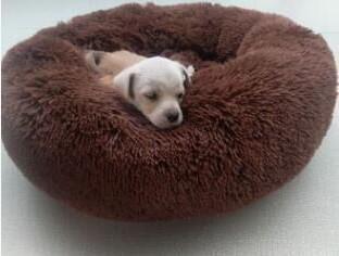 Ultra-Soft Corduroy Donut Cuddler Cat Bed – Round Calming Pet Nest in 40 cm, 50 cm & 60 cm