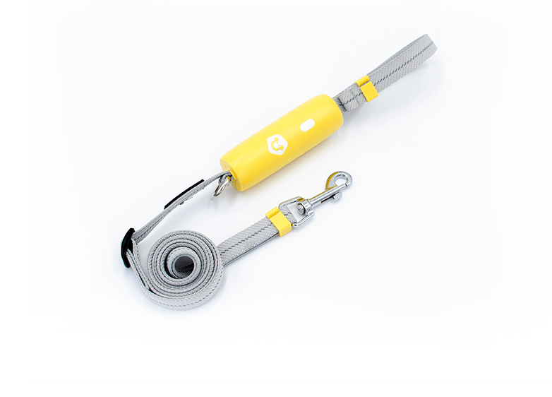 Pet Supplies New Dog Elastic Leash for Small and Medium-Sized Dogs