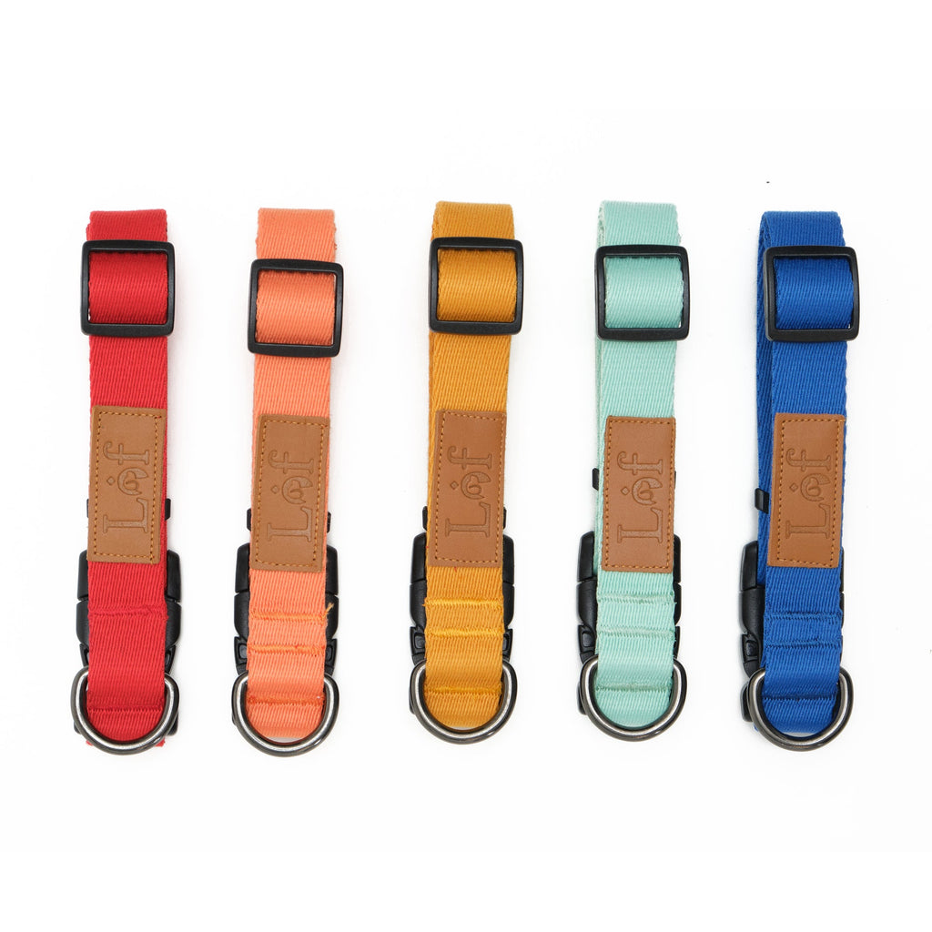 Lof Collar for Dogs – Premium 40-Stitch Webbing, All-Day Comfort & Durability