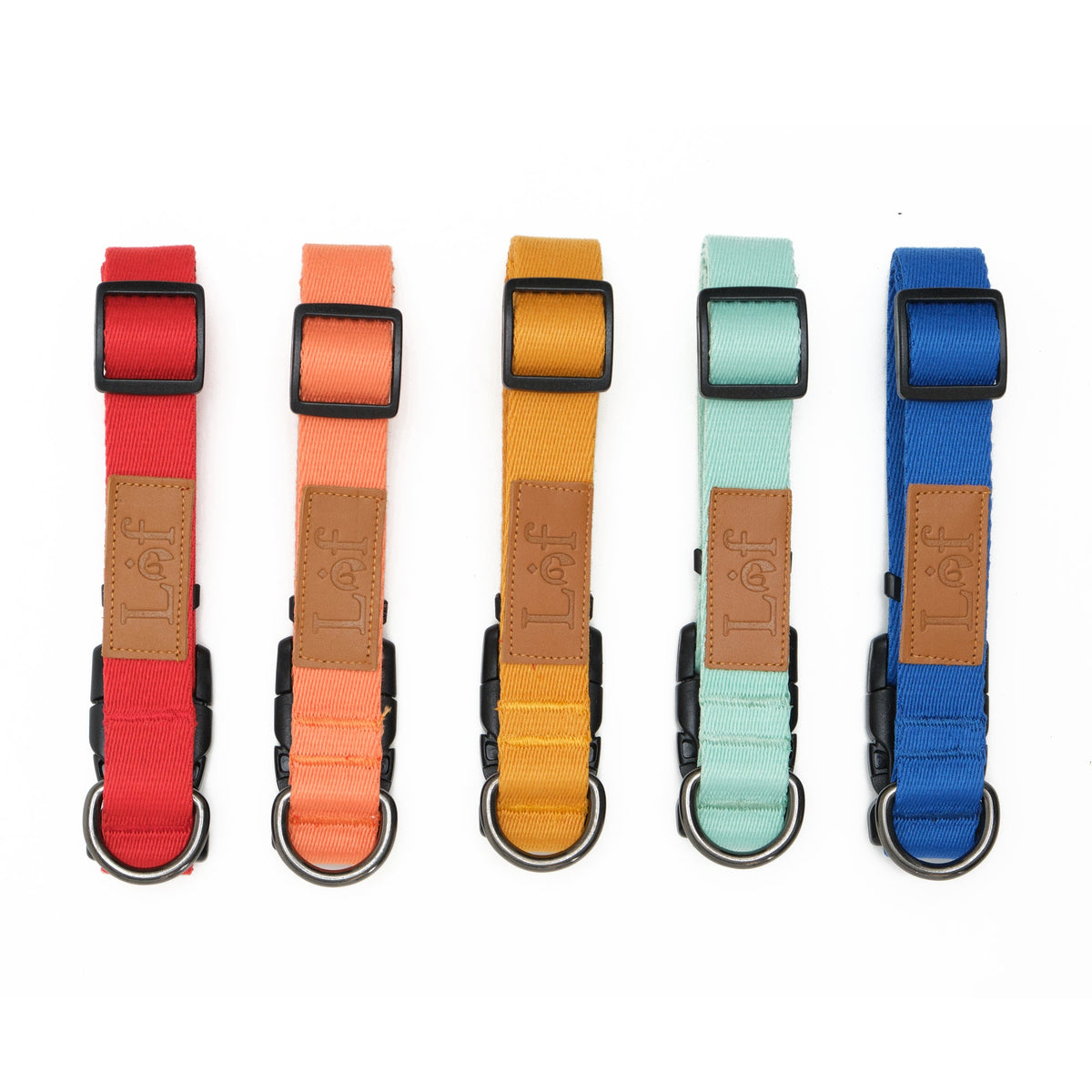 Lof Collar for Dogs – Premium 40-Stitch Webbing, All-Day Comfort & Durability