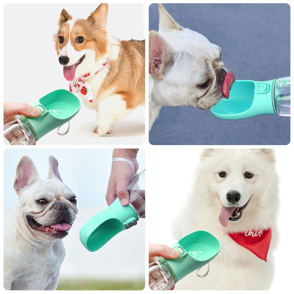 Outdoor Pet Travel Water Dispenser