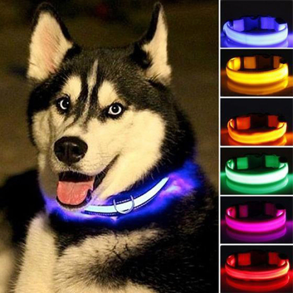 Nylon LED Dog Collar, 2-Piece Set
