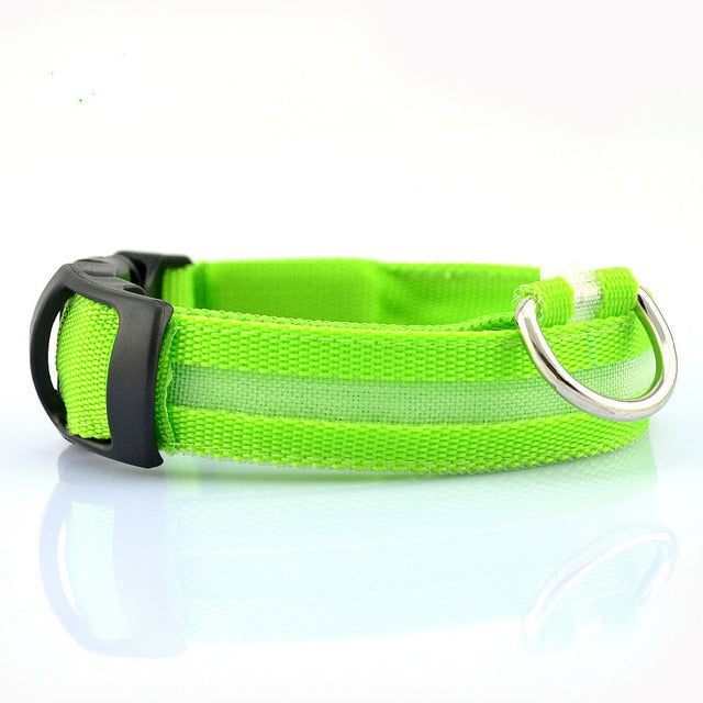 Nylon LED Dog Collar, 2-Piece Set
