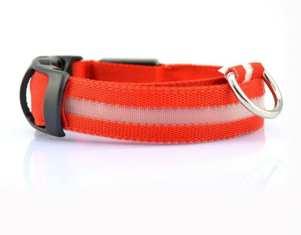 Nylon LED Dog Collar, 2-Piece Set