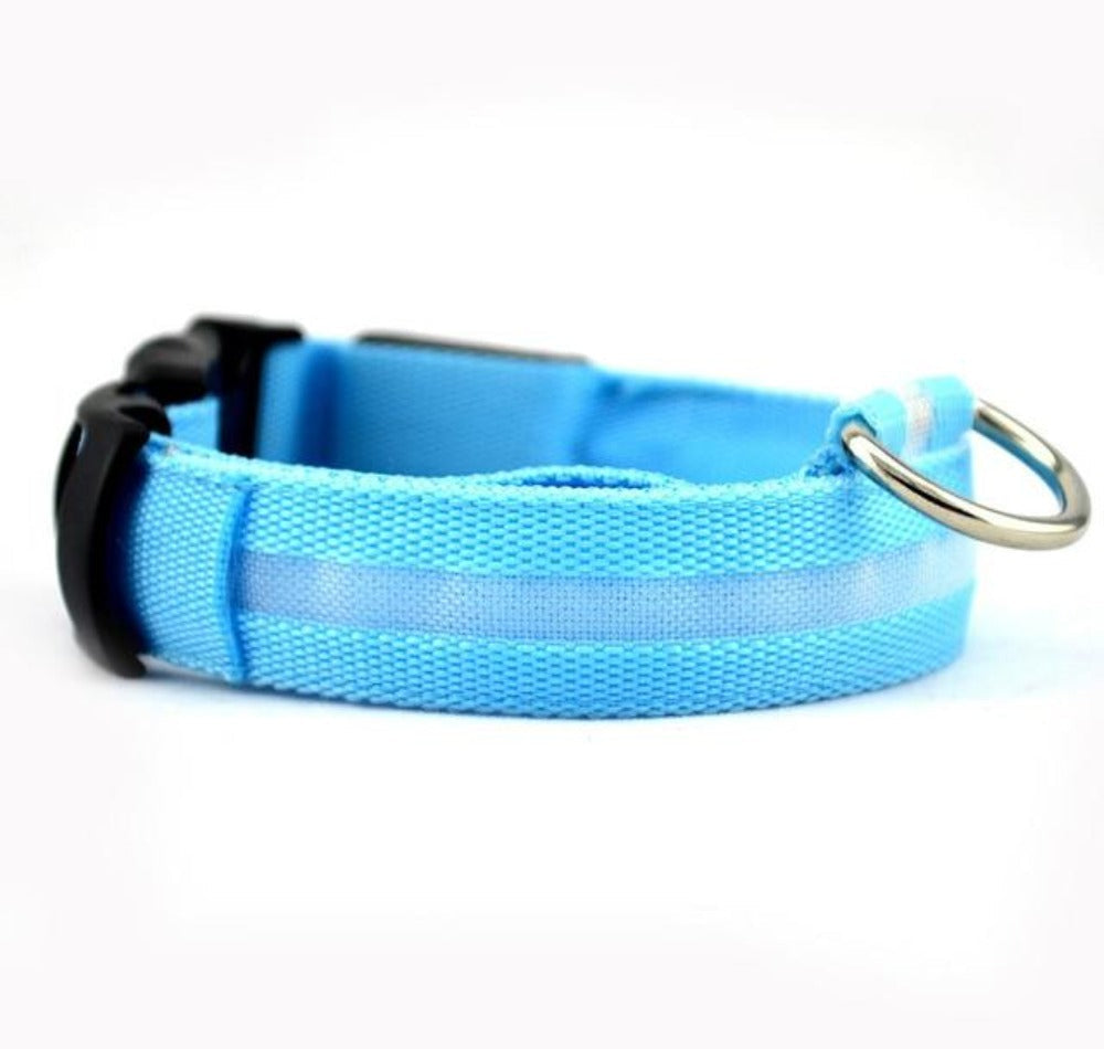 Nylon LED Dog Collar, 2-Piece Set