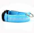 Nylon LED Dog Collar, 2-Piece Set