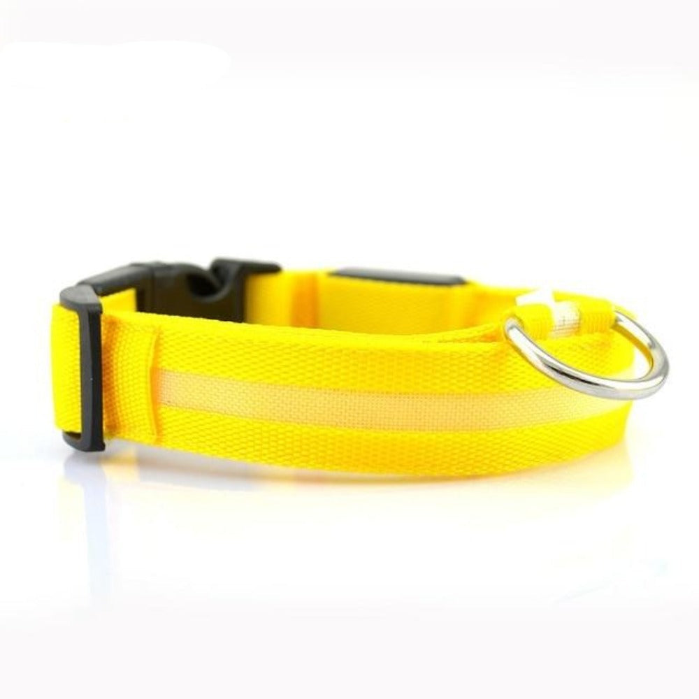 Nylon LED Dog Collar, 2-Piece Set