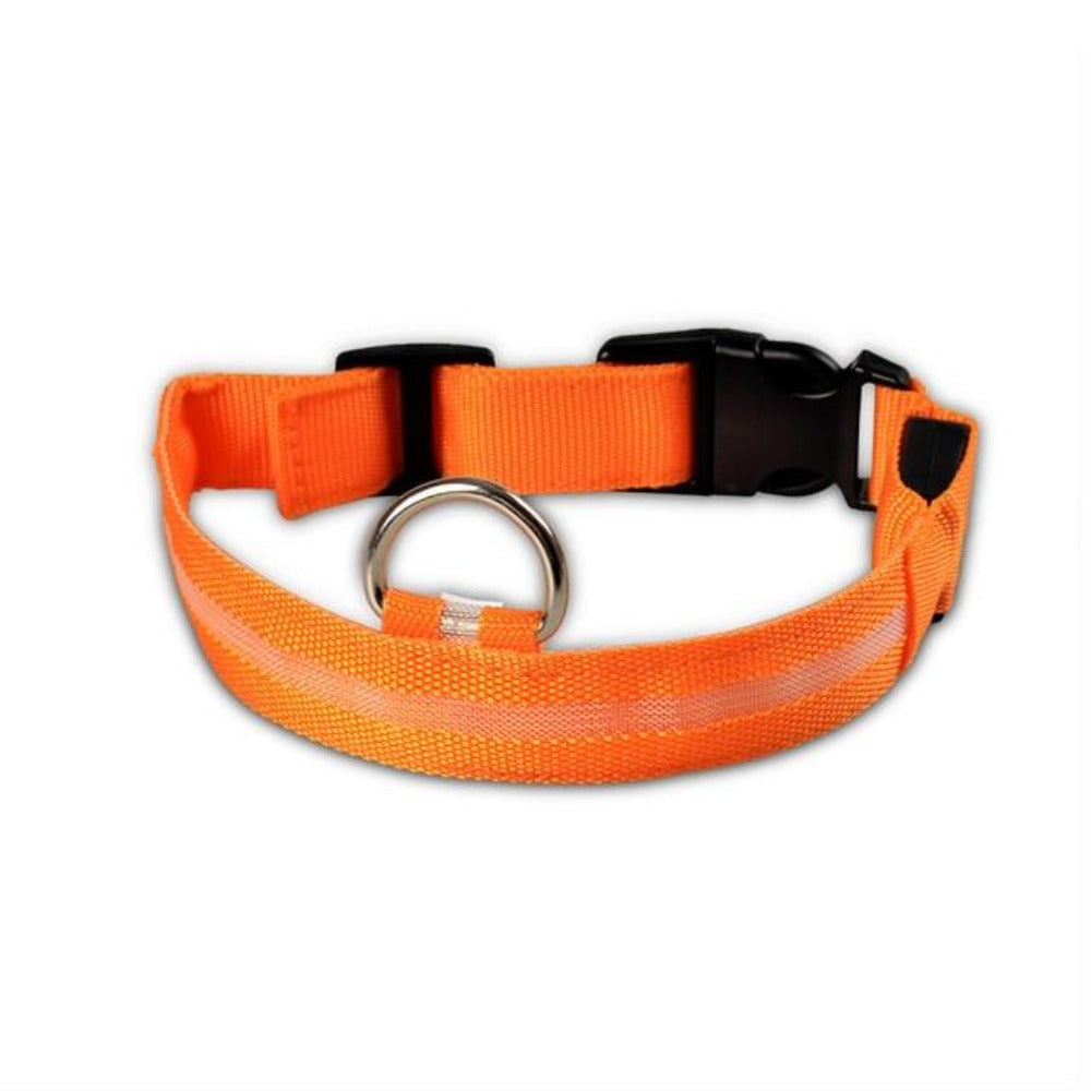 Nylon LED Dog Collar, 2-Piece Set