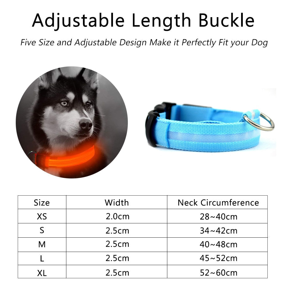 Nylon LED Dog Collar, 2-Piece Set